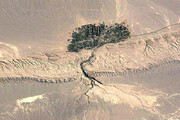 ببینید | بهشتی در وسط کویر لوت؛ آبشار کشیت در استان کرمان