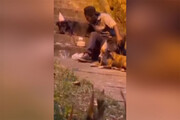 ببینید | جشن تولد تلخ یک بی‌خانمان در کنار چند سگ وسط خیابان