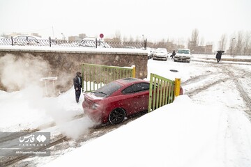 سپید بی‌پایان برف بر تن تبریز