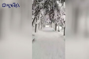 ببینید | ویدیویی رویایی از شهر پاوه کرمانشاه در آغوش سفیدِ برف