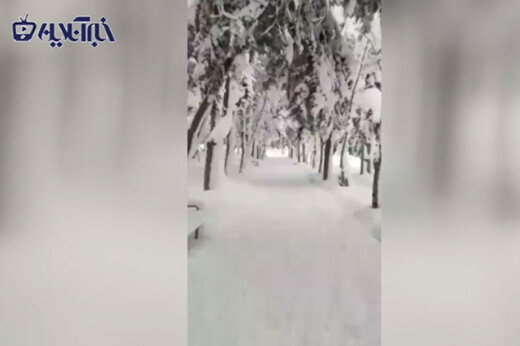 ببینید | ویدیویی رویایی از شهر پاوه کرمانشاه در آغوش سفیدِ برف