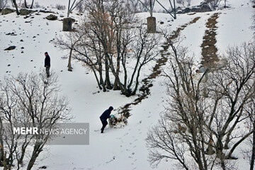 روزهای برفی لرستان