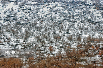 روزهای برفی لرستان