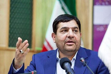 بازدید معاون اول رئیس جمهور از میدان عرضه گوشت و مرغ بهمن + گزارش تصویری