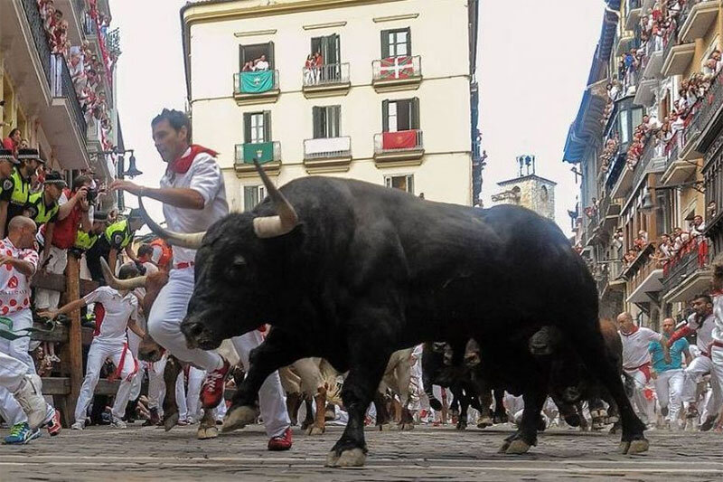 ببینید | لحظه هولناک له شدن یک مرد زیر پاهای گاو وحشی؛ اول شاخ و بعد لگدهای سهمگین / 18+