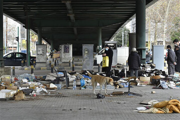 تصاویر | کتاب‌های بی‌خانمان معروف در آتش سوخت