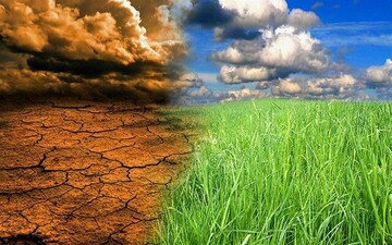 هوای ناسالم بر تمام عناصر طبیعت تاثیرگذار است