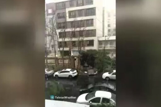 ببینید | ویدیویی تماشایی و جذاب از حرکت آهسته بارش برف در تهران