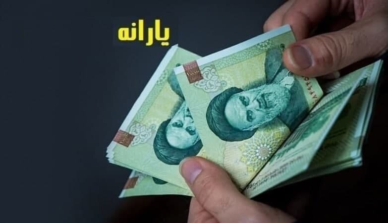 رونمایی نایب رئیس مجلس از دو راهکار جایگزین ارز ترجیحی برای مردم