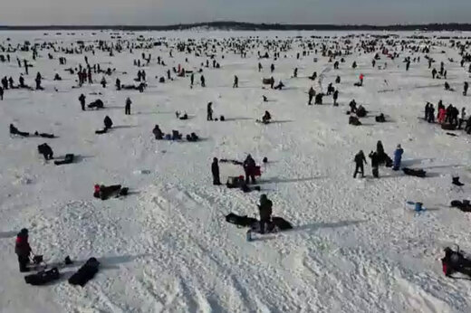 ببینید | عجیب‌ترین مسابقه صید ماهی در آمریکا؛ خیریه ماهیگیری یخی!