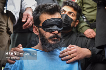 تصاویری از بازداشت قاتل «علی اکبر رنجبر» در شیراز