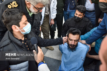 تصاویری از بازداشت قاتل «علی اکبر رنجبر» در شیراز