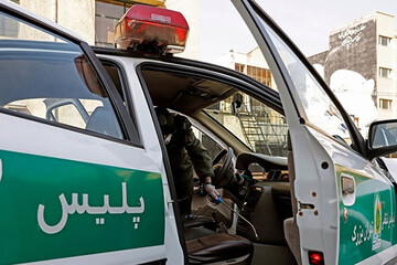  پلیس امنیت تهران خبر داد: کشف حدود ۶ تن گوشت و مرغ غیربهداشتی
