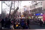 ببینید | سقوط درخت وسط خیابان ولیعصر تهران