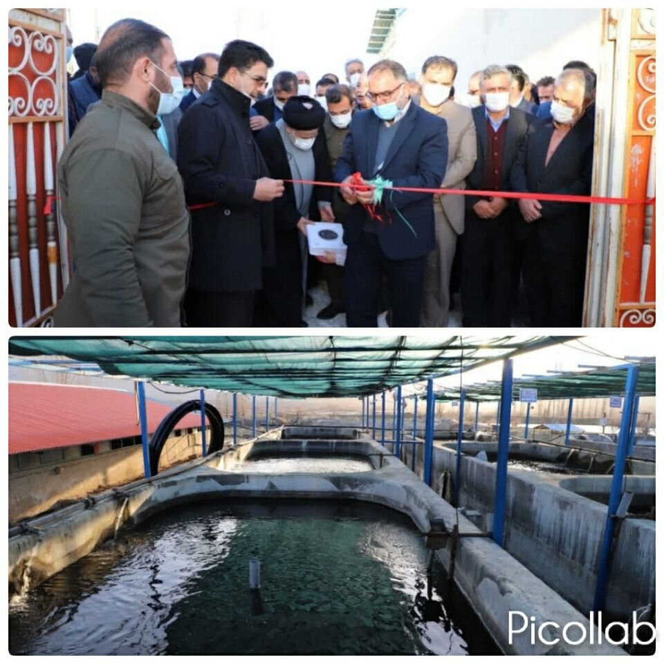 سرمایه گذاری 8 میلیارد تومانی در پرورش ماهیان خاویار لرستان