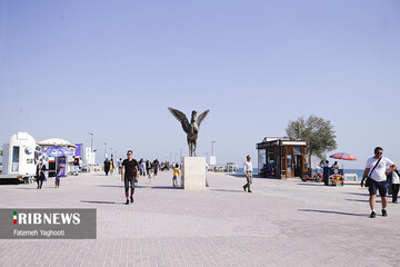 سواحل زیبای کیش در فصل زمستان