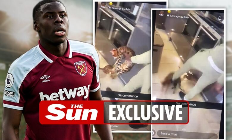 ببینید | ویدیویی تلخ از حیوان‌آزاری جنجالی مدافع باشگاه وستهام؛ شوت کردن گربه بجای توپ!