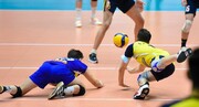 احتمال برگزاری فینال زودهنگام والیبال در پلی‌آف / شهرداری و پیمان دوباره به هم می‌رسند؟