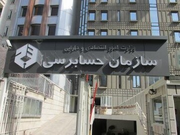 سخنان مهم مدیرعامل حسابرسی/۹۰ درصد زیان‌های دولتی تنها برای ۱۰ شرکت است