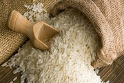 ببینید | قیمت برنج ایرانی همچنان در حال صعود!