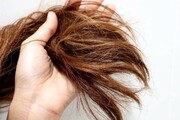 تقویت کننده‌های طبیعی موی سر را بشناسید