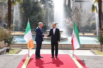 استقبال امیرعبداللهیان از وزیرخارجه ایرلند