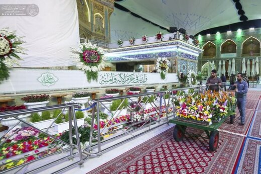 تصاویر زیبا از گل آرایی مضجع نورانی حضرت علی(ع)