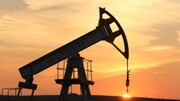 تداوم رشد قیمت نفت/رکورد ١١٠ دلار شکست