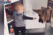 ببینید | دستبرد خنده‌دار یک کودک به همراه یک سگ به انبار آذوقه