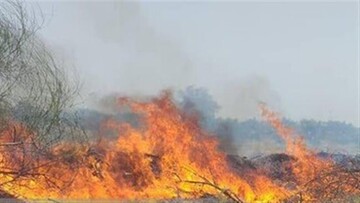 آتش سوزی یک کپر عشایری در دزفول دو مصدوم برجای گذاشت 