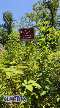قلعه رودخان کجاست؟