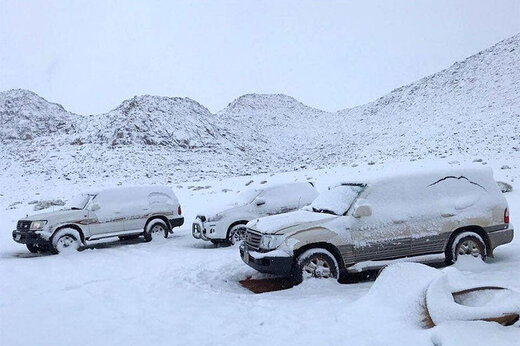 ببینید | اتفاق باورنکردنی در عربستان؛ بارش سنگین برف در بیابان‌های تبوک 