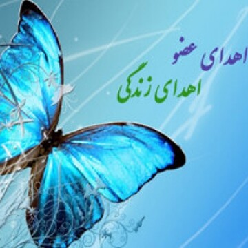 اعضای بیمار مرگ مغزی در چهارمحال و بختیاری اهدا شد