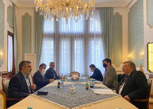 Iranian atomic official meets Ulyanov in Vienna
