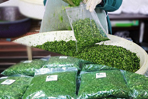 راه اندازی کسب وکار خانگی با 20 میلیون سرمایه