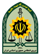واکنش فرمانده یگان ویژه فراجا به امنیت کشور
