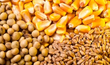 تعاون روستایی استان سمنان امسال ۳۴ هزار تن نهاده دامی توزیع کرد