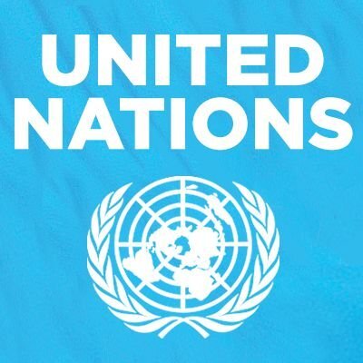 بیانیه کارشناسان سازمان ملل علیه «طرح صیانت» 