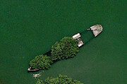 عکس | رویش درخت روی کشتی غرق شده