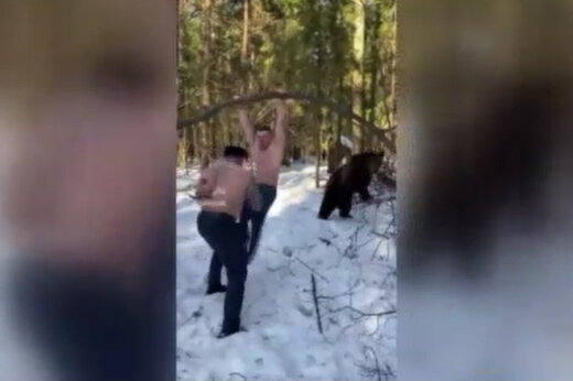 ببینید | تمرینات عجیب و سخت در برف همراه با خرس