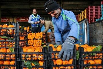 قیمت جدید میوه‌های تنظیم بازاری اعلام شد