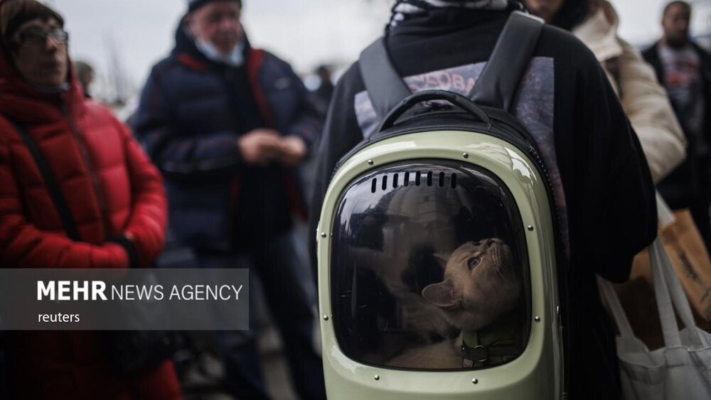 هجوم مردم کی‌یف به ایستگاه قطار برای فرار از جنگ