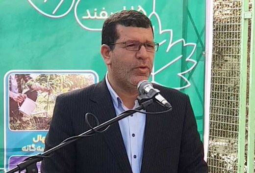 طرح هر شهروند یک درخت در دزفول اجرا می‌شود 