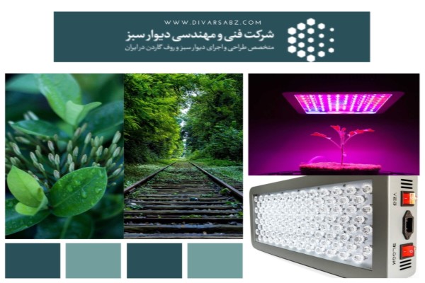 ارائه انواع خدمات فضای سبز توسط شرکت فنی مهندسی دیوار سبز