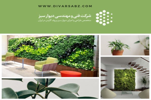 ارائه انواع خدمات فضای سبز توسط شرکت فنی مهندسی دیوار سبز