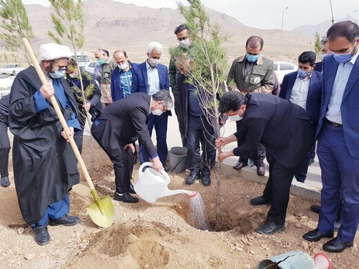 196هکتار زمین در شهرکهای صنعتی استان قزوین تحت پوشش فضای سبز قرار دارد