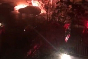 مهاجمان، درختان یک پارک در اصفهان را به آتش کشیدند