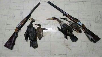 شکارچی غیر مجاز در دزفول دستگیر شد