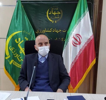 توزیع ۱۵۰۰تن برنج و هزار تن شکر تا قبل از ماه رمضان در لرستان 