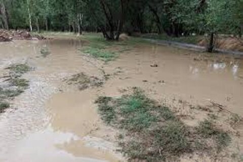 خسارت هزار میلیارد تومانی حوادث طبیعی در استان سمنان